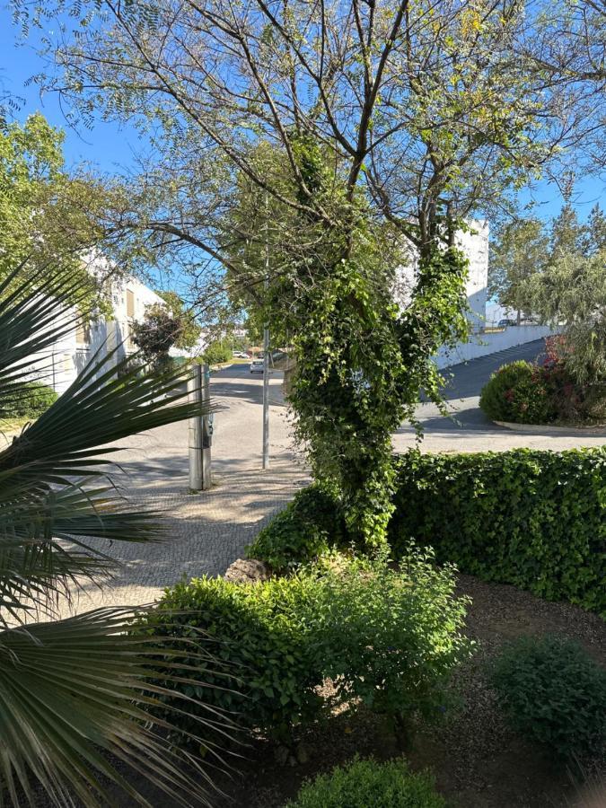 Bellavista Modern Comfort, 3 Balcony, Family Apartment With Wi-Fi Αλμπουφέιρα Εξωτερικό φωτογραφία